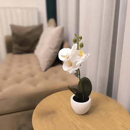 Gallery Mall View-studio Βελιγράδι